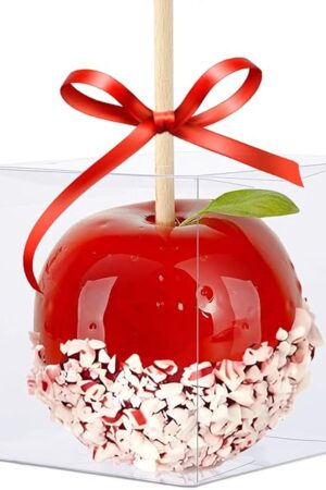 30 Pack Clear Candy Apple Boxes with Hole, 4"x 4"x 4" Transparent Favor Boxes, Food-Grade Treat Boxes for Cake Pops Caramel Apples Chocolates and Cookies Christmas