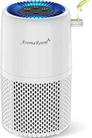 Air Purifier for Home Bedroom, AromaRoom H13 HEPA Air Filter For Smoke Pollen Dander Hair Smell Air Cleaner, 3-in-1 Filter with Sleep Mode, Quiet Air Cleaner For Pets, Home, Baby Room (White, AP103)