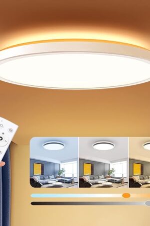 BLNAN Modern Ultra-Thin Flush Mount Ceiling Light Fixture 12Inch 24W 3000K-6500K