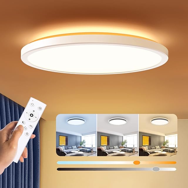 BLNAN Modern Ultra-Thin Flush Mount Ceiling Light Fixture 12Inch 24W 3000K-6500K