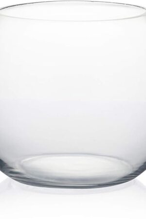 WGVI Bowl Glass Vase, Diameter 8", Height 6", Open Width 5", (Multiple Sizes Choices) Clear Bubble Planter Terrarium Fish Bowl for Wedding Event Home Decor, 1 Piece (VBW0008A)