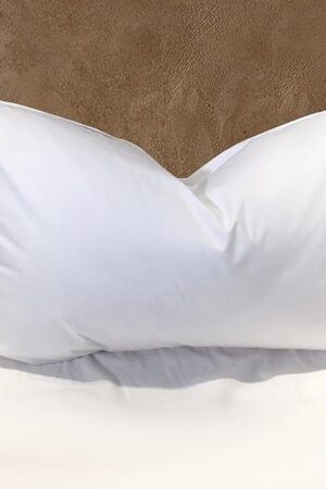 BHZ Goose Down Feather Pillows Queen Size - Hotel Collection Bed Pillows for Sleeping Soft Pillow for Side and Back Sleepers with 100% Cotton Fabric