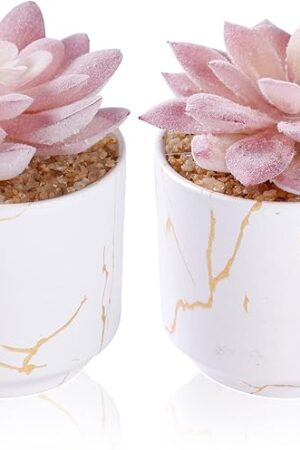 Artificial Plants and Succulents in 2 White Ceramic Pots,Small Fake Plants for Office and Desk Decor,Bathroom, Bedroom,Shelves for Women