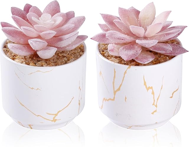 Artificial Plants and Succulents in 2 White Ceramic Pots,Small Fake Plants for Office and Desk Decor,Bathroom, Bedroom,Shelves for Women