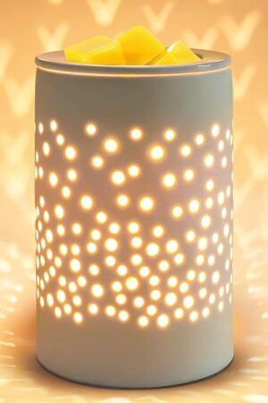 Bobolyn Ceramic Electric Wax Melt Warmer Candle Waxing Warmer Burner Melt Wax Cube Melter Fragrance Warmer- Ideal Gift for Wedding, Spa and Aromatherapy