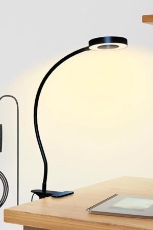 Clip on Desk Lamp Clip Light