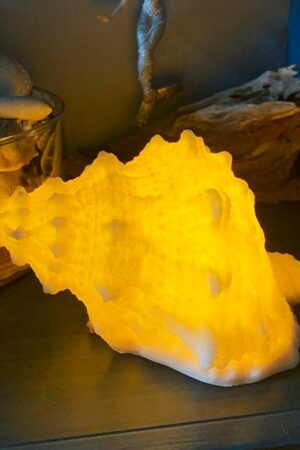 Conch Shell Night Light LED Night Light
