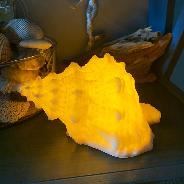 Conch Shell Night Light LED Night Light