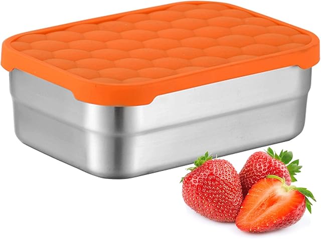 AORAKI Stainless Steel Containers with Lids, Lunch Box Container with Leak Resistant Silicone Lid, Food Storage Bento Box for Snacks, Sandwiches, Fruits, Vegetables, 25oz