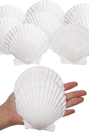 10PCS Sea Shells White Scallop Shells for Crafts Baking Cooking Serving Food, 4-5 inch Large Natural Seashells for DIY Crafts Seashell Beach Decorations for Home Decor