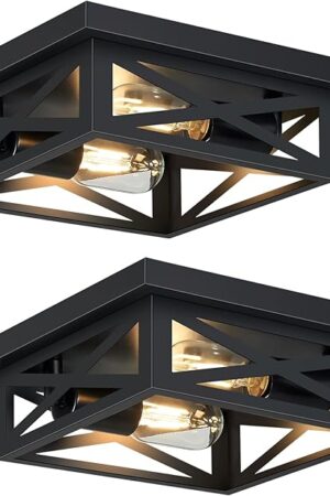 Black Flush Mount Ceiling Light Fixture,2-Light Square Hallway Light Fixtures Ceiling,Light Fixtures Ceiling Mount for Farmhouse,Kitchen,Hall,Bedroom (2 Pack)