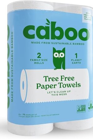 Caboo Tree Free Paper Towels, 2 Rolls, Tree Free, Plastic Free, Earth Friendly, Sustainable Kitchen Paper Towels with Strong 2 Ply Sheets