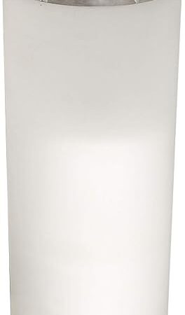 Zenna Home Toilet Paper Holder Stand, Enclosed Toilet Paper Storage Holds 3 TP Rolls, Rust Resistant Bath Tissue Holder with Lid, Frosted