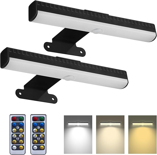 2 PACK Picture Light for Painting Battery with Remote on Wall in Bedroom Living Room, 3Lighting for Wall Art Pictures Posters,Dimmable Timer Set Display Accent Light for Frame Dart Gallery Portrait