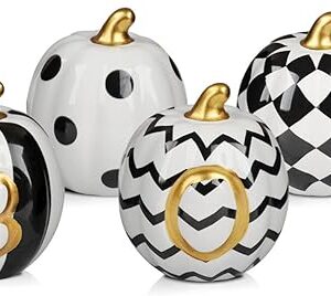 DAZONGE Halloween Decorations Indoor - Set of 6 Ceramic Halloween Pumpkin Decor - Assorted Black and White Boo Pumpkins for Fall Autumn Home Decor