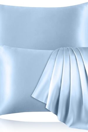 2 Pack 100% Pure Silk Pillowcase for Hair and Skin, Both Sides Mulberry Silk Pillowcases with Hidden Zipper, Cooling Pillowcase 19 Momme, 600 Thread Silk Pillow Cases Standard Size, Light Blue