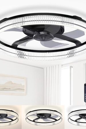 Ceiling Fans with Lights and Remote, Flush Mount, 20" Modern Black