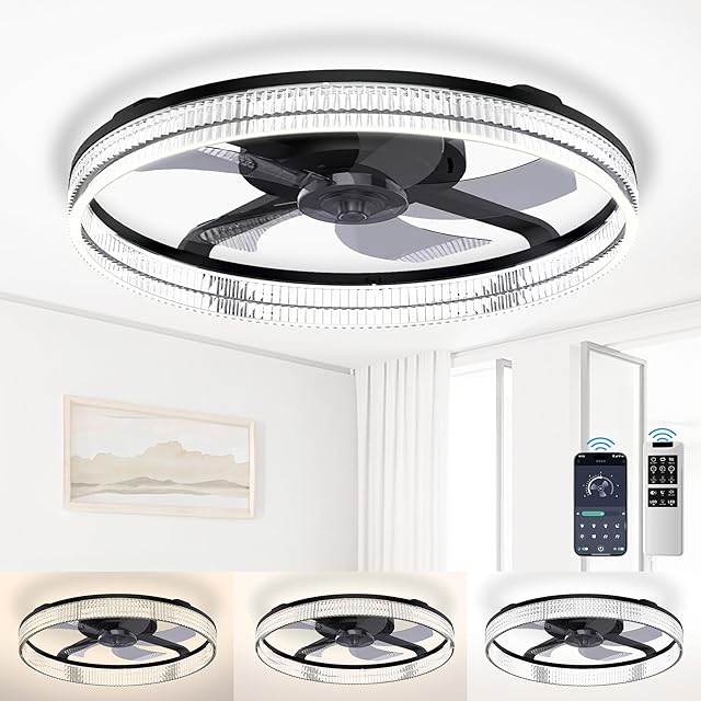 Ceiling Fans with Lights and Remote, Flush Mount, 20" Modern Black