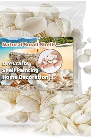 90 PCS White Sea Shells - 0.8-1.2 in Small Clam Shells for Crafts Tiny SeaShells Bulk for Decorating Beach Theme Party Vase Filler Fish Tank