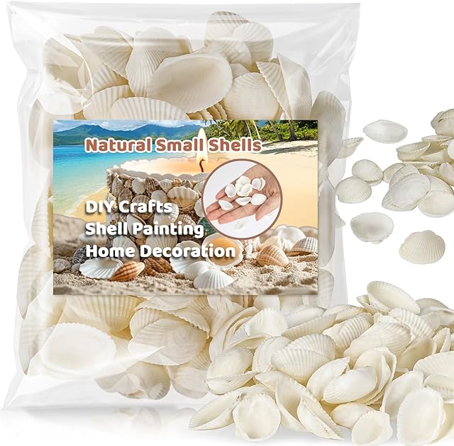 90 PCS White Sea Shells - 0.8-1.2 in Small Clam Shells for Crafts Tiny SeaShells Bulk for Decorating Beach Theme Party Vase Filler Fish Tank