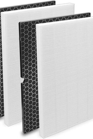 Colorfullife 116130 Replacement Filter H for Winix 5500-2 and AM80 Air Purifier, 2 Pack HEPA Filters and 2 Pack Activated Carbon Filter Combo Pack