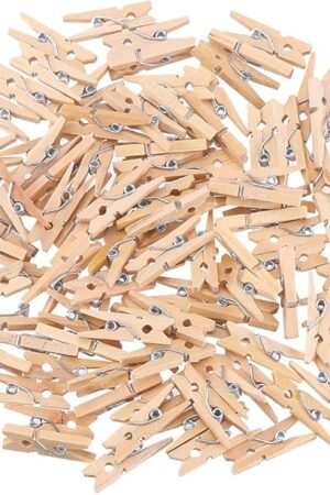 DECORA Sturdy 1 Inch Mini Wooden Craft Clothespins 100pcs