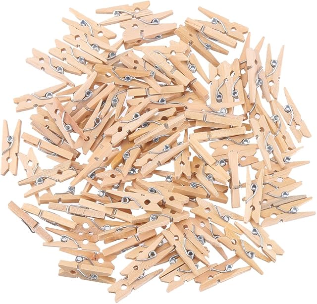DECORA Sturdy 1 Inch Mini Wooden Craft Clothespins 100pcs