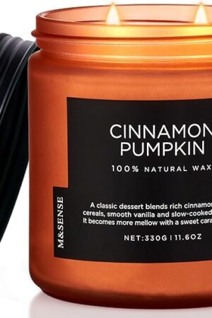 Cinnamon Pumpkin Fall Scented Candle, 11.6oz Natural Soy Wax Candles for Home Scented, 2 Wick Autumn Long Burning Candle, 70 Hours Burn Time, Jar Candle Gift for Men and Women