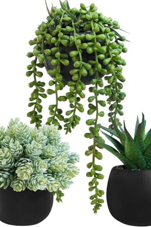 Winlyn Set of 3 Artificial Succulent Plants in Black Concrete Pots Faux Aloe Hops String of Pearls Potted Plants Small Fake Plants Desk Plants for Home Office Desk Kitchen Bathroom Shelf Windowsill