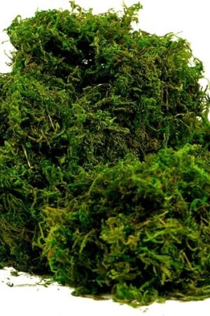 BYHER Artificial Moss Fake Green Grass for Centerpieces Home Kitchen Garden Decor (8OZ, Fresh)
