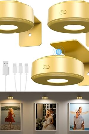3PCS Picture Lights with Remote, Wireless Rechargeable Battery Wall Light for Paintings, 3 Colors Paintings Light Dimmable and Timer Metal Art Light for Display, Wall, Artwork, Gallery (Gold)