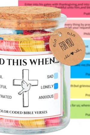Bible Verse Jar for Women and Men, Scripture Prayer Jar for Emotions and Feelings, Christian Gifts for Mom, Grandma and Best Friend, Graduation Gifts for Her, Religious for Birthday and Fathers Day