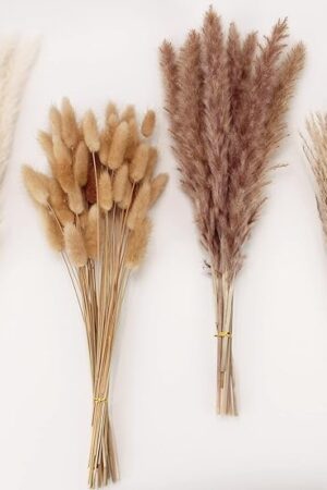 Dried Pampas Grass Decor, 100 Stems Pampas Grass Contains Bunny Tails Dried Flowers, Reed Grass Bouquet for Wedding Boho Flowers Home Table Decor, Rustic Farmhouse Party (17", White and Brown)