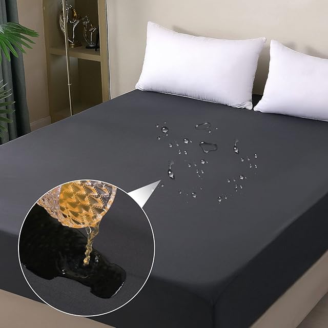 Waterproof Mattress Protector Queen, Fitted Sheet Style Breathable Mattress Cover with Deep Pocket Fits Up to 18'', Machine Washable Noiseless Bed Cover for Kids Adults Pets (Dark Gray, 60'' X 80'')