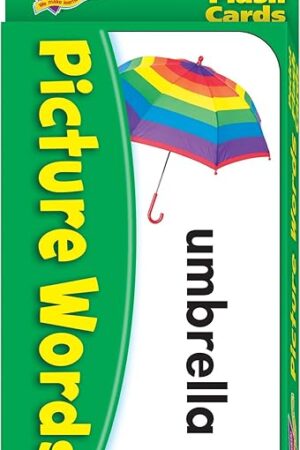 The Picture Words Pocket Flash Cards