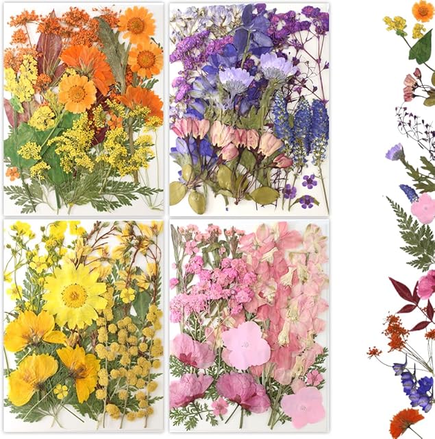80Pcs Pressed Flowers, Dried Flowers Natural Pressed Flowers Bulk for Resin Molds, Nail Art, Scrapbooking, Candle Holder, Jewelry Making, Real Dried Pressed Flowers DIY Crafts Supplies Kit