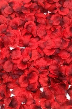 CODE FLORIST 2200 PCS Dark-Red Silk Rose Petals for Romantic Night,Wedding,Proposal Anniversary Flower Decorations