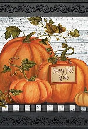 Briarwood Lane Doormat 30x18 Indoor Outdoor Happy Fall Y'all Farmhouse Primitive for Fall Doormat