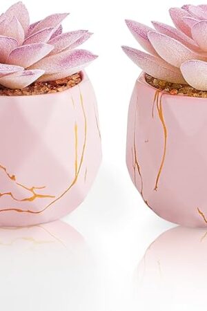 Artificial Succulent Plants in 2 Pink Ceramic Pots, Cute Fake Plants for Vanity Decor,Office, Desk, Bathroom, Kitchen,Bedroom, Shelves Decor for Women,Girls Gift