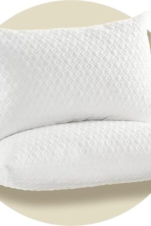 CoolShields Pillow Protector (2 Pack) Standard – Waterproof Zippered Pillow Covers, Hypoallergenic, Premium Pillowcase Encasement for Better Sleep