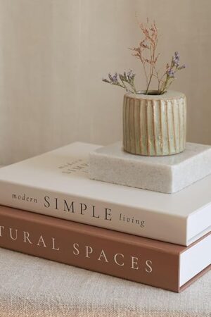 Beautiful Decorative Books - Set of 2 Boxes Enhance Your Coffee Table, Bookshelf or Mantle Decor - Aesthetic Fake/Faux Books for Modern Home Decoration, Photo Storage and as a Keepsake Box