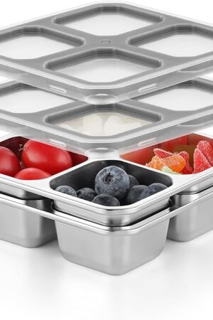 BEFOY 2 Pack Stainless Steel Snack Containers with Lids 4 Compartment Food Storage Containers for Adults & Kids Meal Prep Containers Reusable