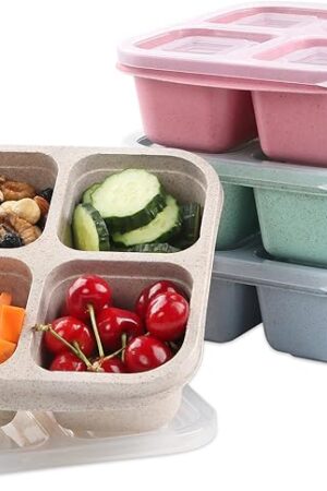 4 Pack Snack Containers, 4 Compartments Bento Snack Box, Reusable Meal Prep Lunch Containers for Kids Adults, Divided Food Storage Containers for School Work Travel
