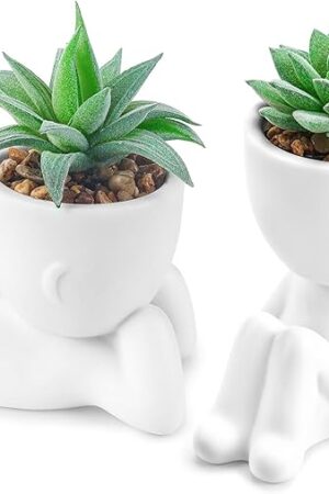Der Rose 2 Pack Fake Plants Succulents Plants Artificial for Living Room Home Bathroom Office Decor