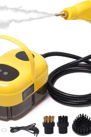 2500W Portable Steam Cleaner, Steam Shot Cleaner Handheld Steamer for Car Detailing, High Heat Cleaning Machine with Brush Heads for Bed Bugs Couch Furniture Kitchen Bathroom Grout and Tile