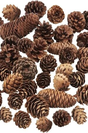 40 PCS Rustic Pine Cone Decorations - Large, Medium and Mini Sizes for Table, Tree and Home Decor
