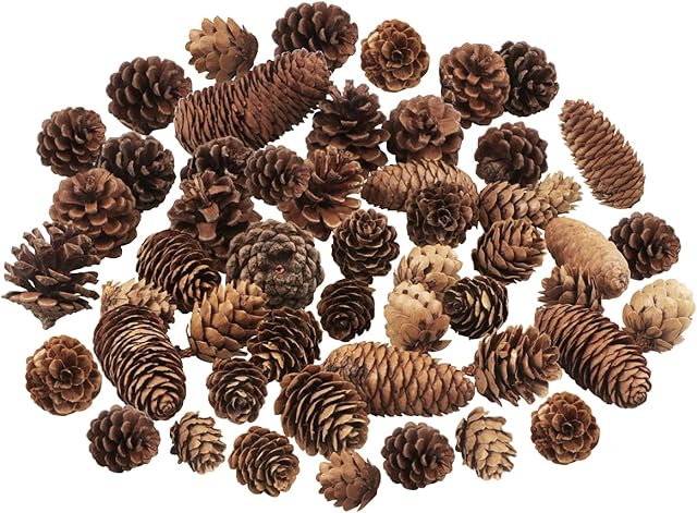 40 PCS Rustic Pine Cone Decorations - Large, Medium and Mini Sizes for Table, Tree and Home Decor