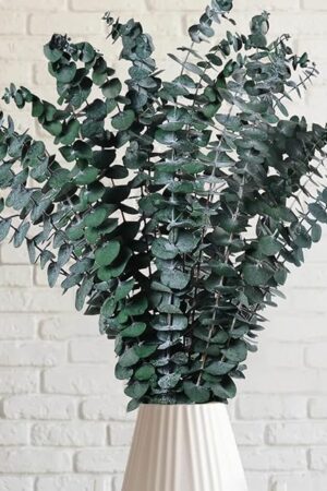 12 Pcs Preserved Dried Eucalyptus Stems, 17" Natural Branches for Shower Hanging, Real Dried Flowers for Vase Filler, Made from Fresh Eucalyptus Leaves, Garland, Wedding, DIY