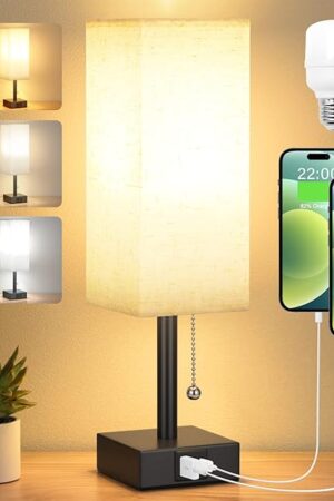 Bedside Table Lamp with 3 Color Temperatures - 3000/4000/5000K Small Lamp with USB C+A Ports, Nightstand Lamp with 3 Color Modes by Pull Chain, Bedroom Lamp for Living Read Work(LED Bulb Included)