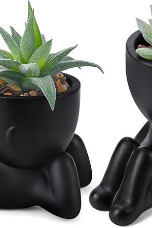 Der Rose Set of 2 Fake Plants Artificial Succulent Plants for Office Desk Accessories Black Bathroom Home Room Aesthetic Decor Indoor